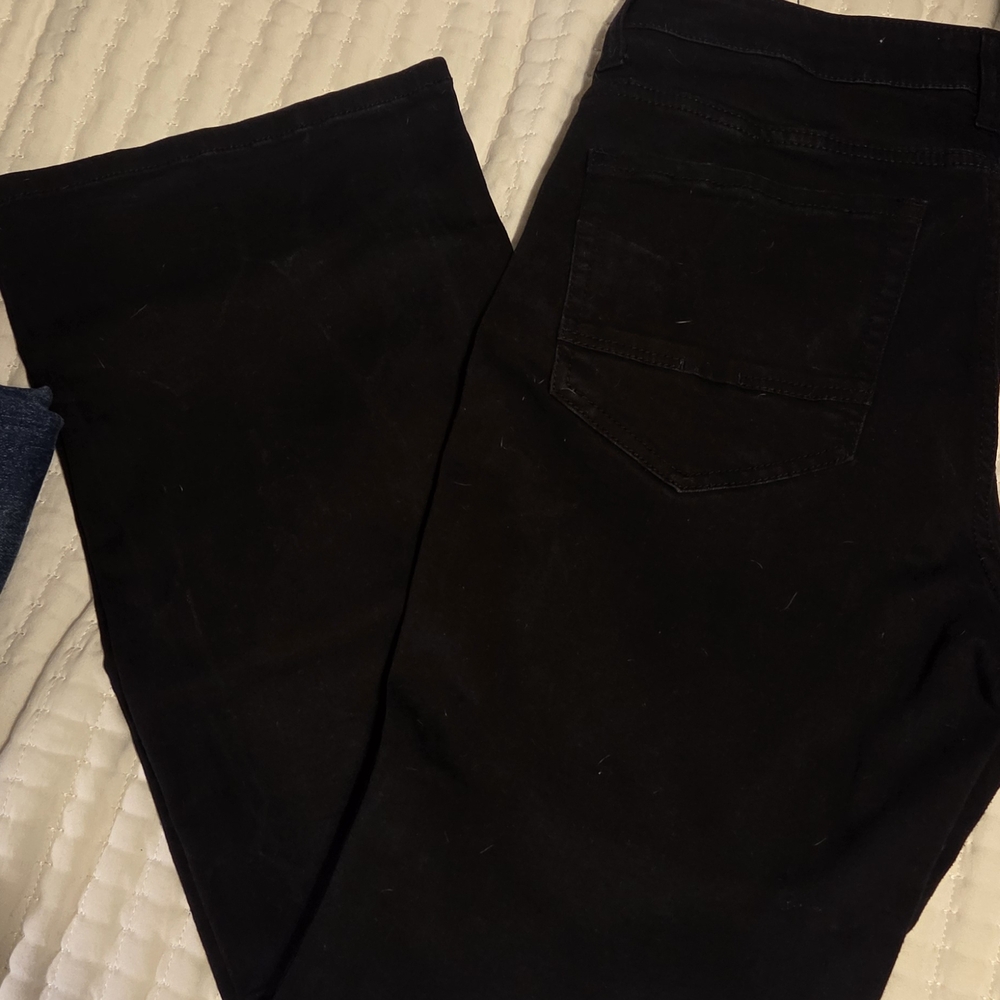 BKE Payton Bootcut Midrise